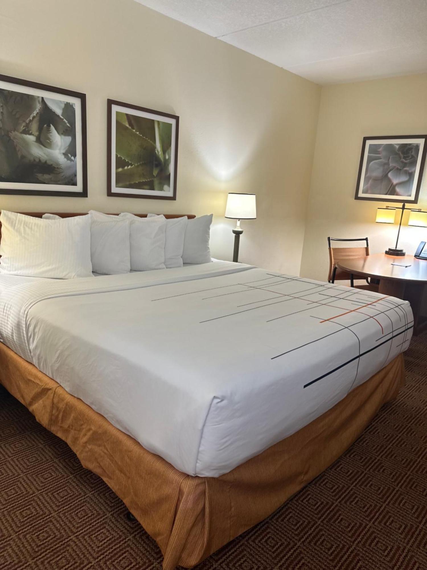 La Quinta Inn & Suites By Wyndham Sawgrass Sunrise Eksteriør billede